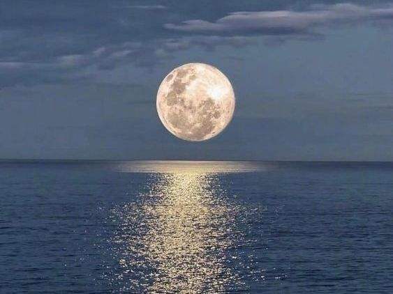 海內(nèi)存知己，天涯共此時