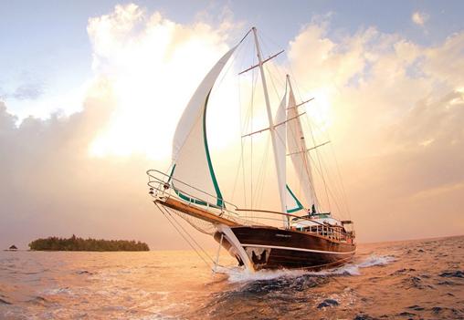 力馬與您揚帆制藥機械的“星辰大?！?></div>
              </li>
              
              <li>
                <div><img src=